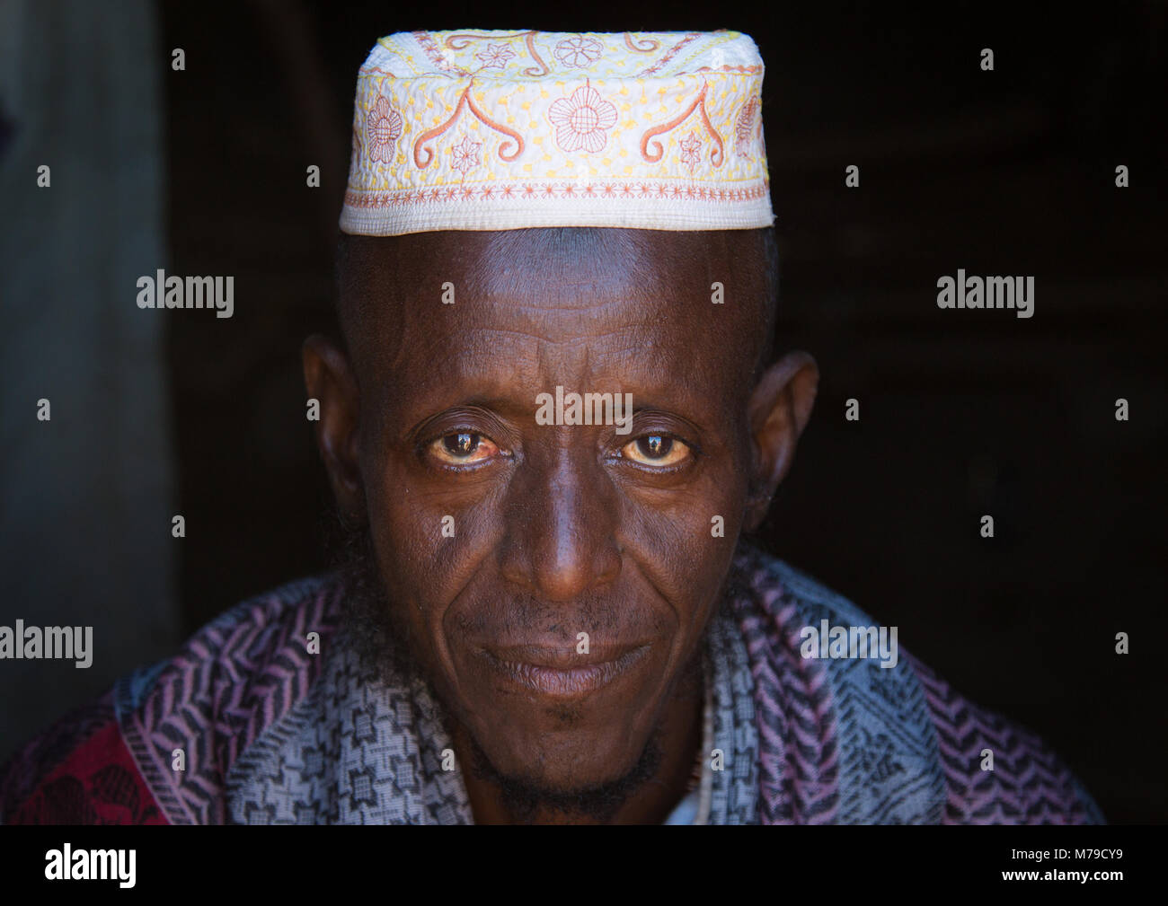 Portrait of an afar tribe old man, Afar region, Assayta, Ethiopia Stock ...