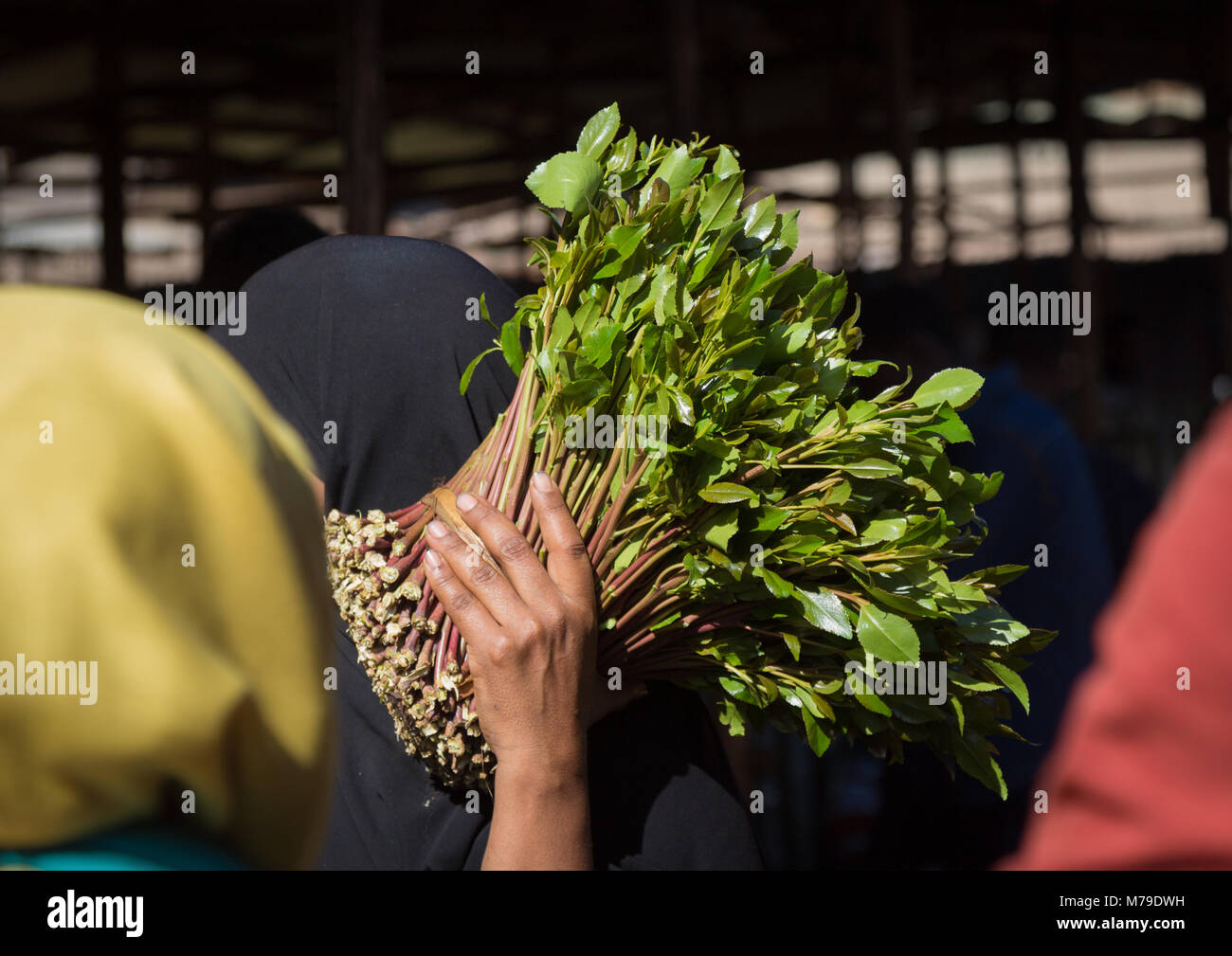 Woman purchasing khat in awaday khat market near harar, The khat