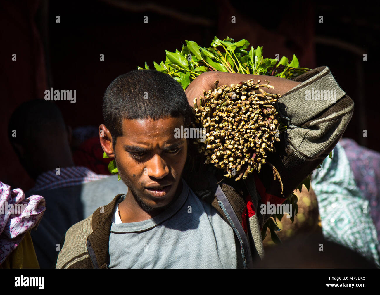 Khat trading in awaday khat market near harar, The khat capital of the world, Harari region, Awaday, Ethiopia Stock Photo