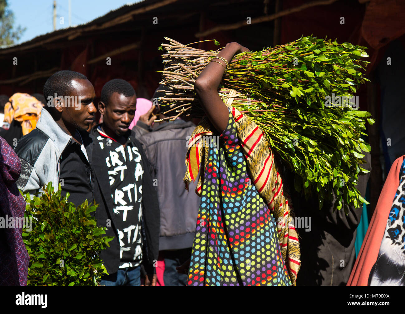 Khat trading in awaday khat market near harar, The khat capital of the