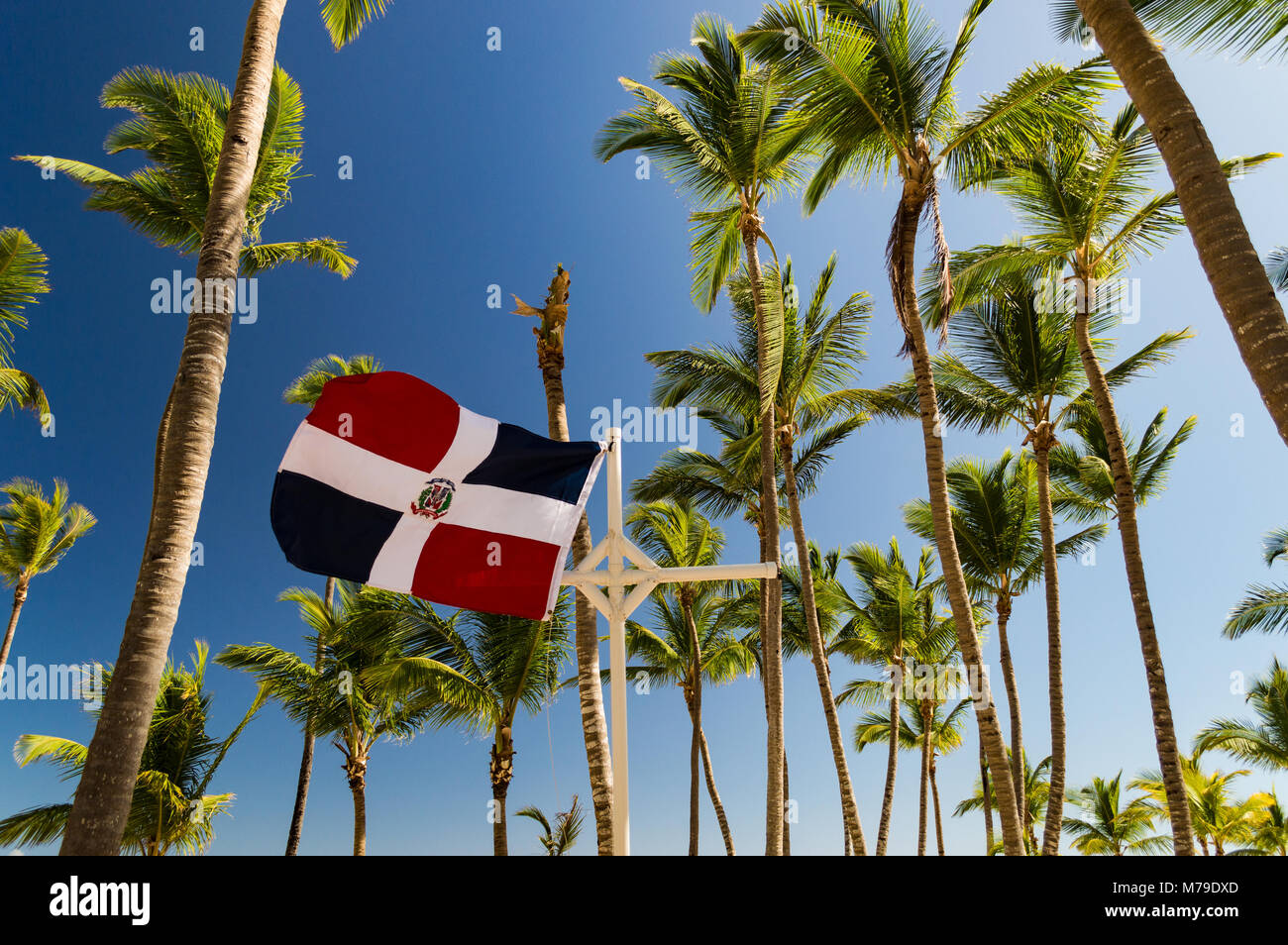The flag of the Dominican republic fluttering in the wind, amongst the palm trees and against a blue sky in the Caribbean. Stock Photo