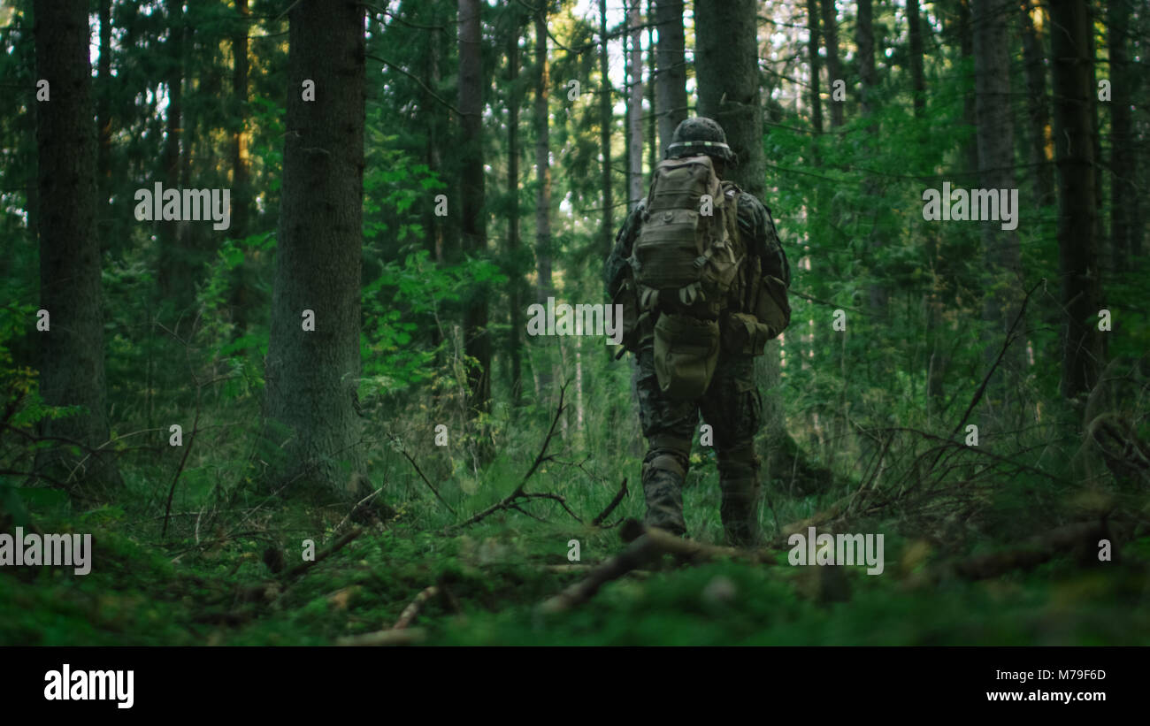Shot of a Fully Equipped Soldier Moving Further in the Dense Forest. He ...