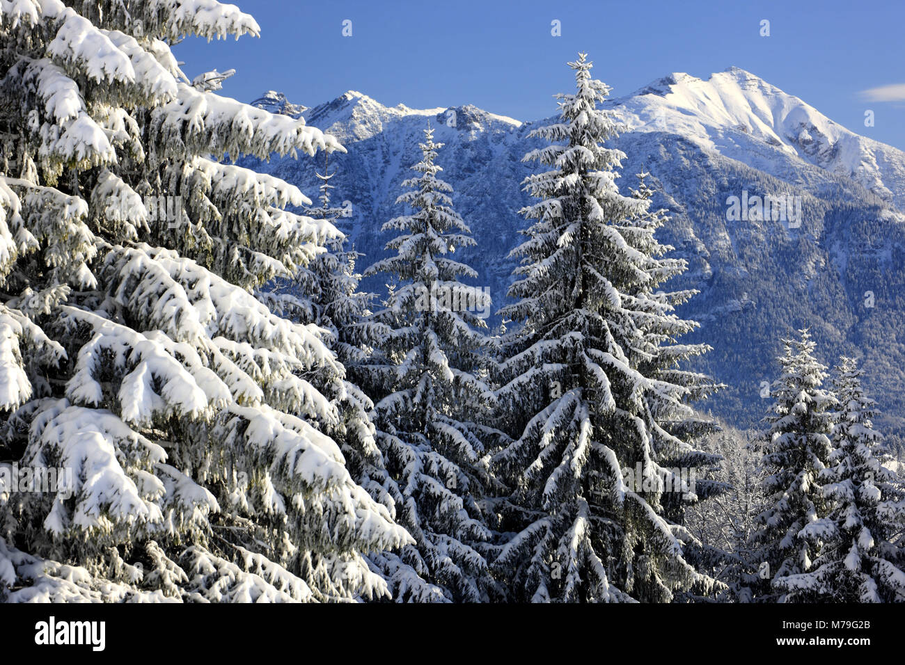 Germany, Bavaria, Upper Bavaria, Werdenfelser Land (region), Gschwandtnerbauer, winter scenery, Schöttelkarspitze, Stock Photo