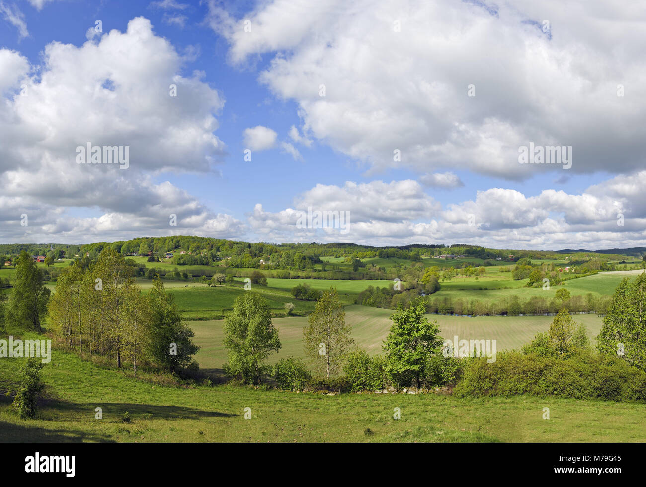 Sweden, Köinge/Halland, scenery, sunshine, sky, clouds, Stock Photo