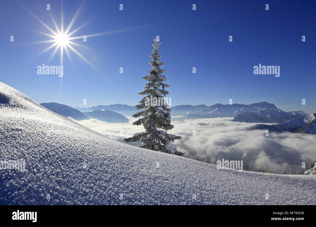 Germany Laber Germany, Bavaria, Upper Bavaria, Ammergauer alps, Laber, Zugspitze ...