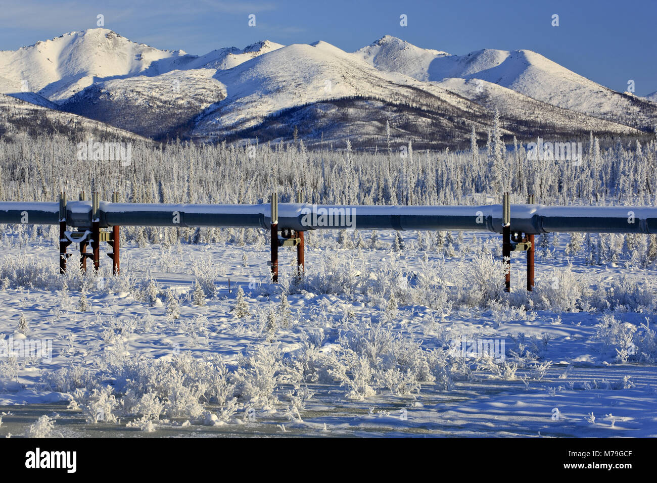 North America, the USA, Alaska, North Alaska, James Dalton Highway, Brooks Range, winter scenery, Alaska pipeline, Stock Photo