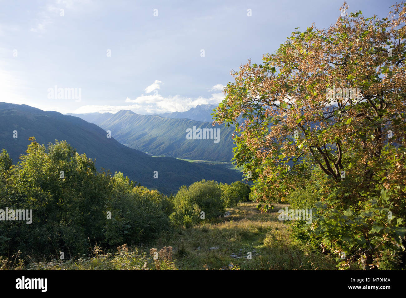 Evening mood, view from the Kuk, in the background the ridge of the Kobariski Stol, Julian Alps, Slovenia, Stock Photo