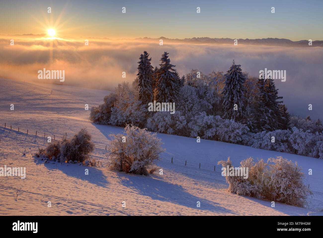 Germany, Bavaria, Upper Bavaria, Pfaffenwinkel region, Hoher Peissenberg, winter scenery, sunrise, Bavarian pre-alpine, Stock Photo