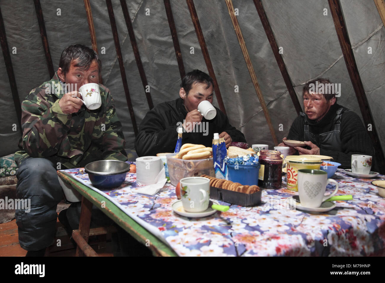 Northern Europe, Russia, Nanyar Mar, Nenets, reindeer shepherd in the tent, Stock Photo