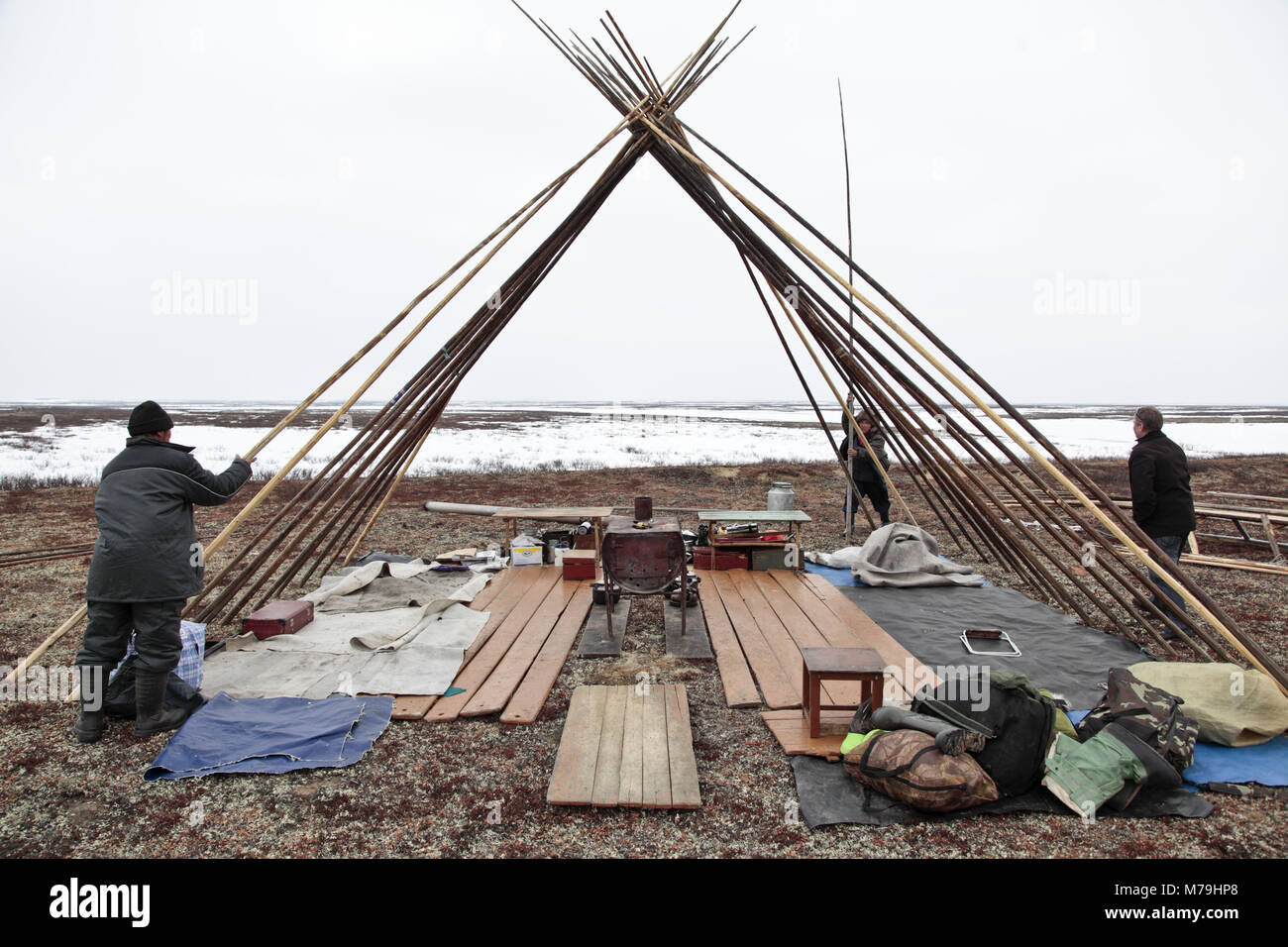 Northern Europe, Russia, Nanya Mar, Nenets, reindeer shepherds, tent, Chum, Stock Photo
