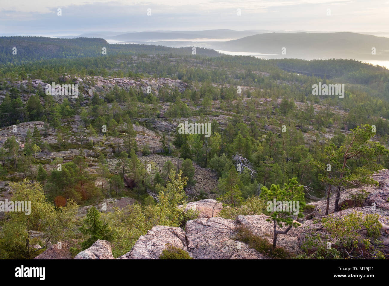 Sweden, Angermanland, Skuleskogen National Park, scenery, Stock Photo