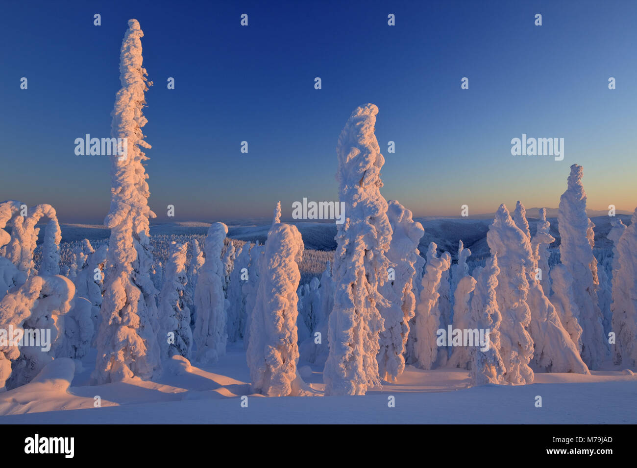 North America, the USA, Alaska, central Alaska, James Dalton Highway, winter scenery, Stock Photo