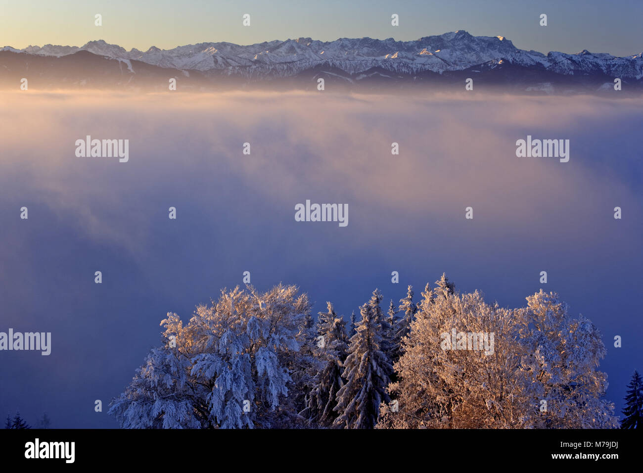 Germany, Bavaria, Upper Bavaria, Pfaffenwinkel region, Hoher Peissenberg, winter scenery, Zugspitze massif, Stock Photo