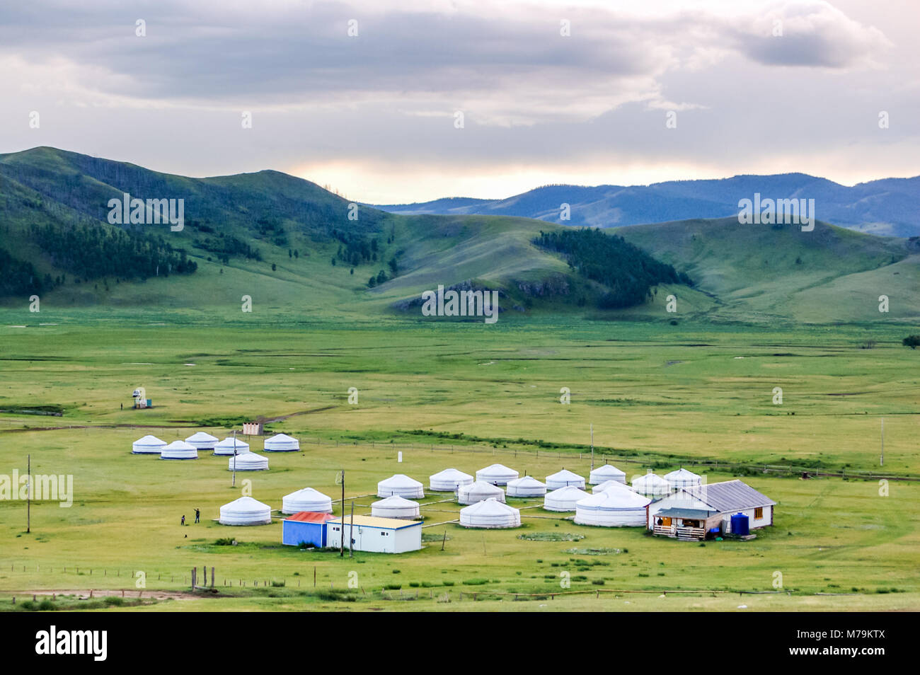 Mongolian yurts called gers on central Mongolian steppe Stock Photo - Alamy