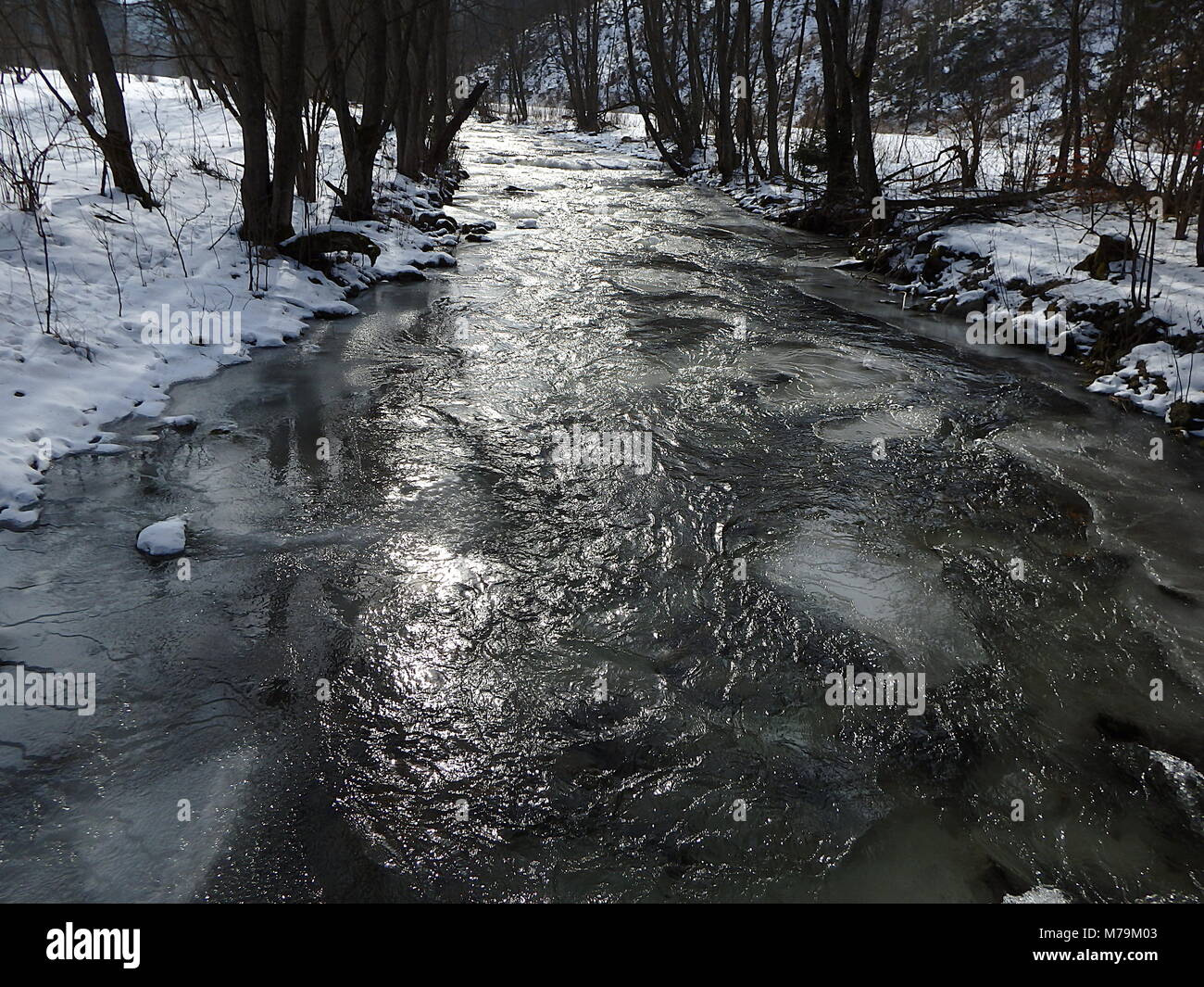 Frozen river in a forest, Ice - frozen river in winter - Big Fatra - Slovakia Stock Photo