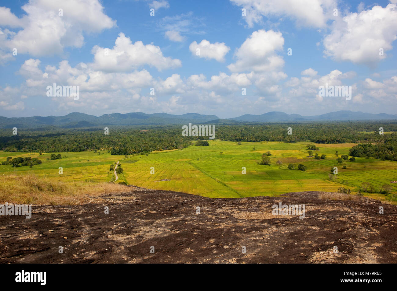 sri lankan scenic landscape viewed from a volcanic rock formation in wasgamuwa national park with woodland and mountain range under a blue sky with fl Stock Photo