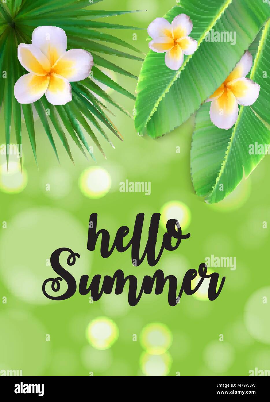 Hello Summer Natural Floral Background with Frame Vector Illustration ...