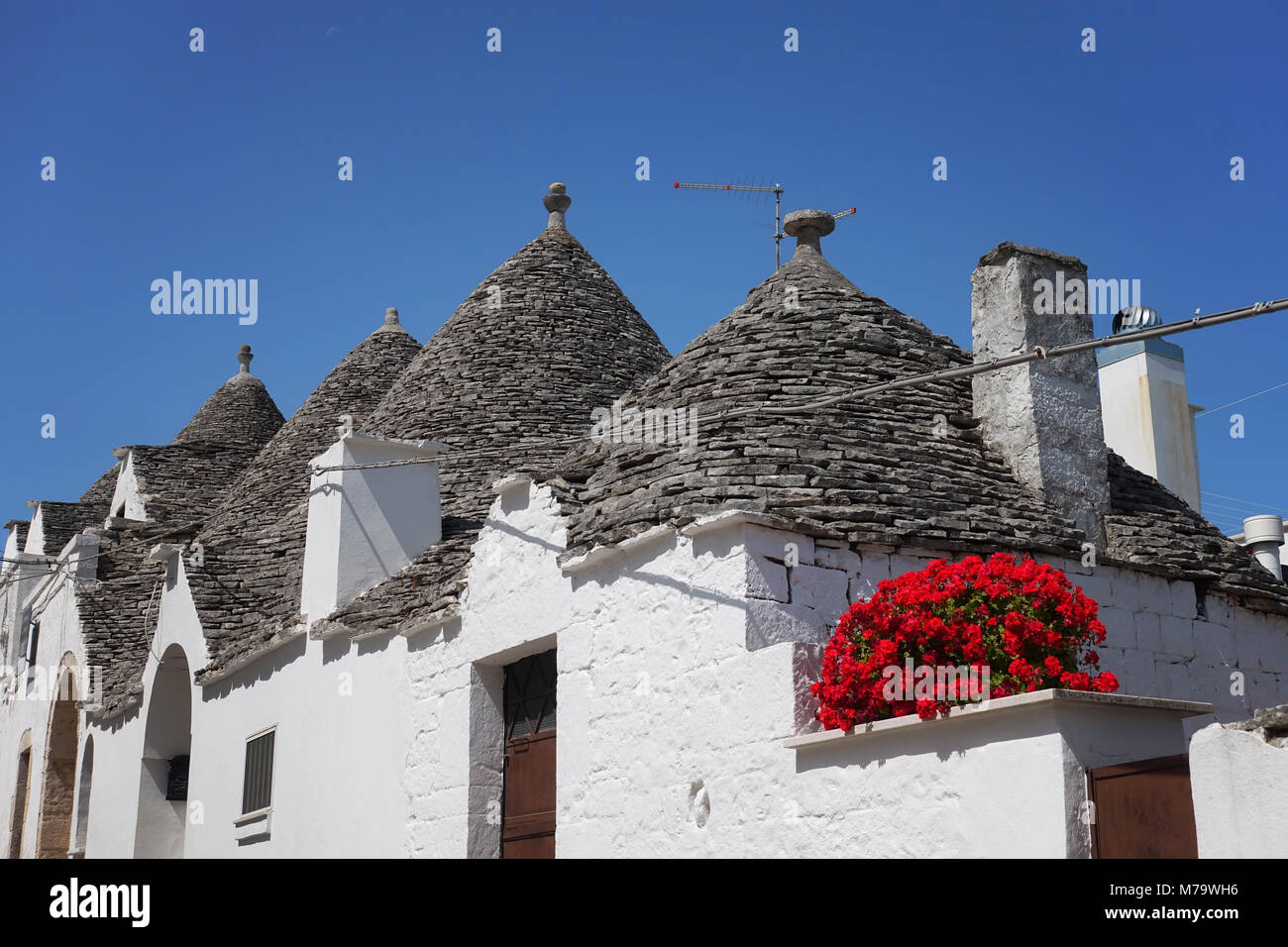 Traditional white trulli houses with cone-shaped roofs with some red geranium flowers under a clear blue sky in Alberobello, a city in Apulia, Italy. Stock Photo