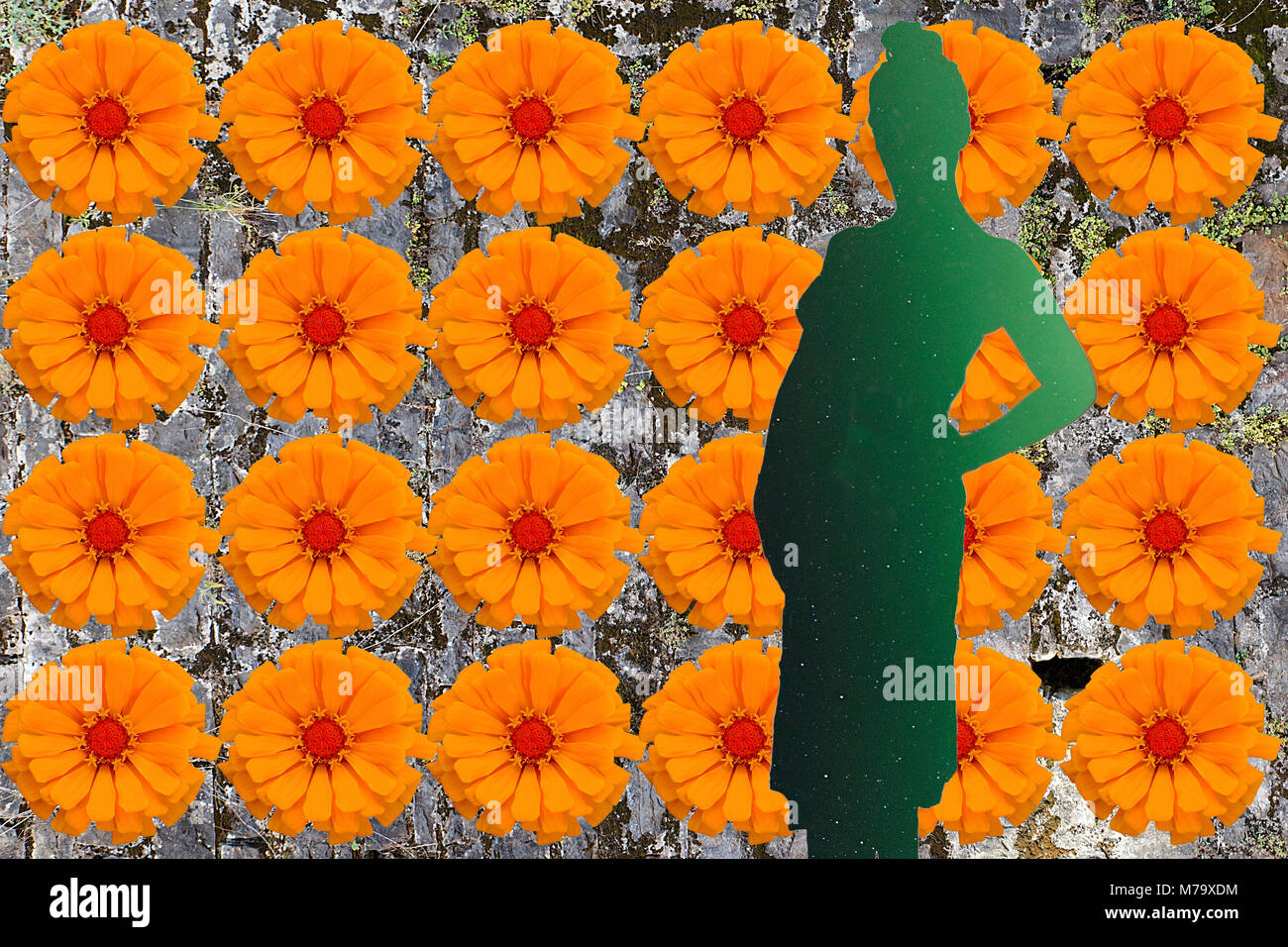 springtime is coming Stock Photo - Alamy