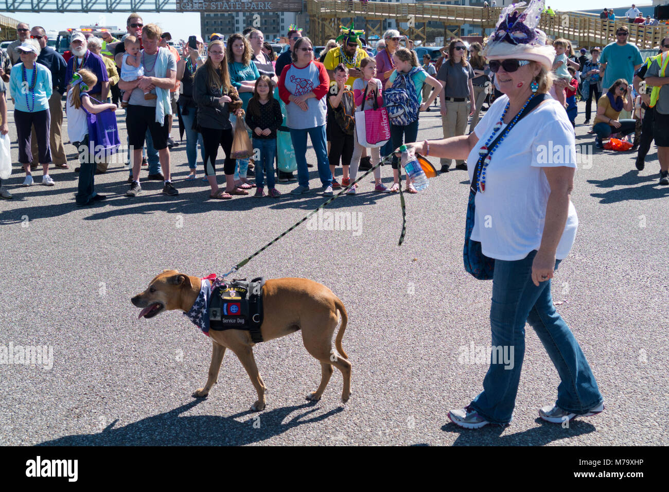 mardi gras parade gulf shores 2025