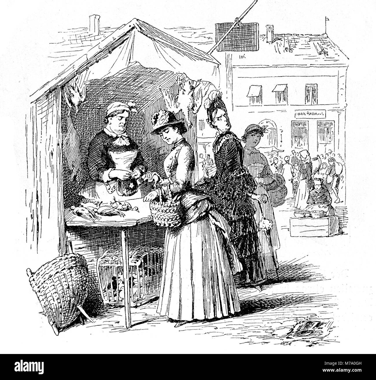 young woman shopping for poultry at the city market, vintage engraving Stock Photo