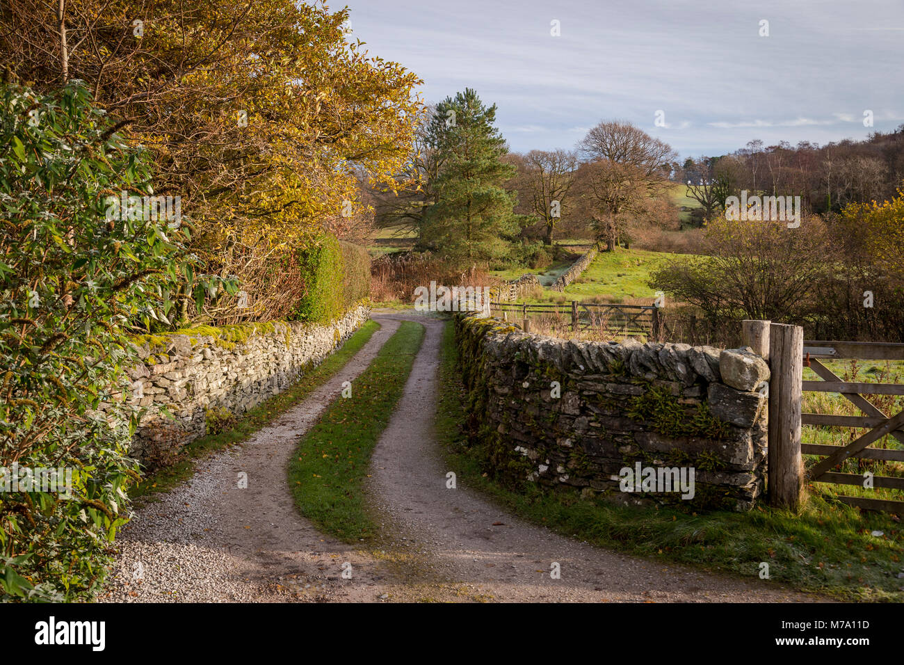 Farm track and stone walls, Bowness, Lake District, England in autumn Stock Photo