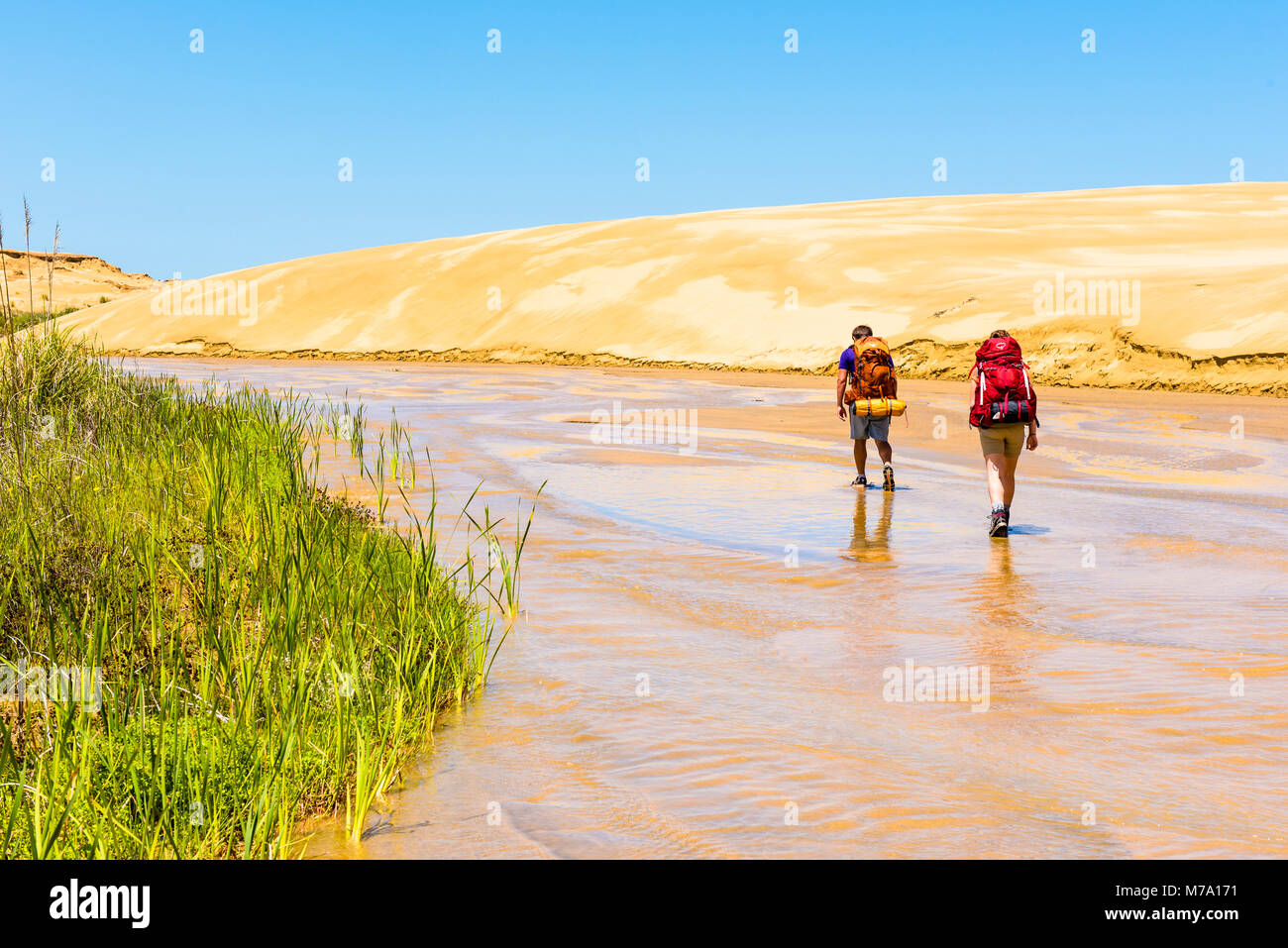 Hikers walk down the Te Paki Stream, close to Ninety Mile Beach, North Island, New Zealand Stock Photo