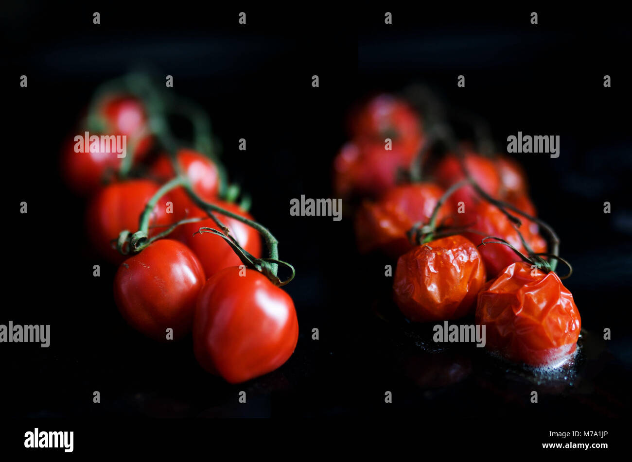 Stilllifephotography hi-res stock photography and images - Alamy