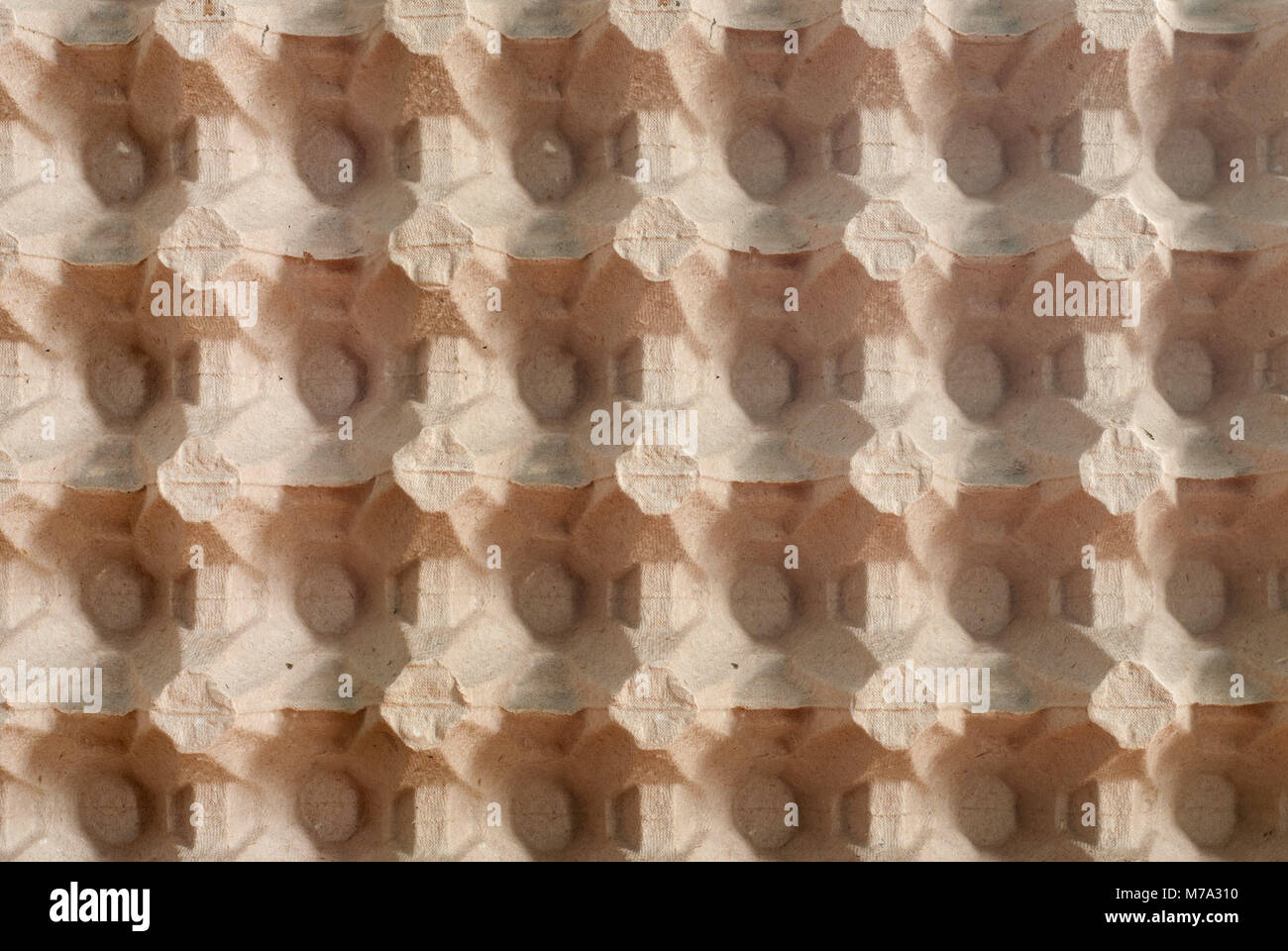 the texture of egg boxes Stock Photo Alamy