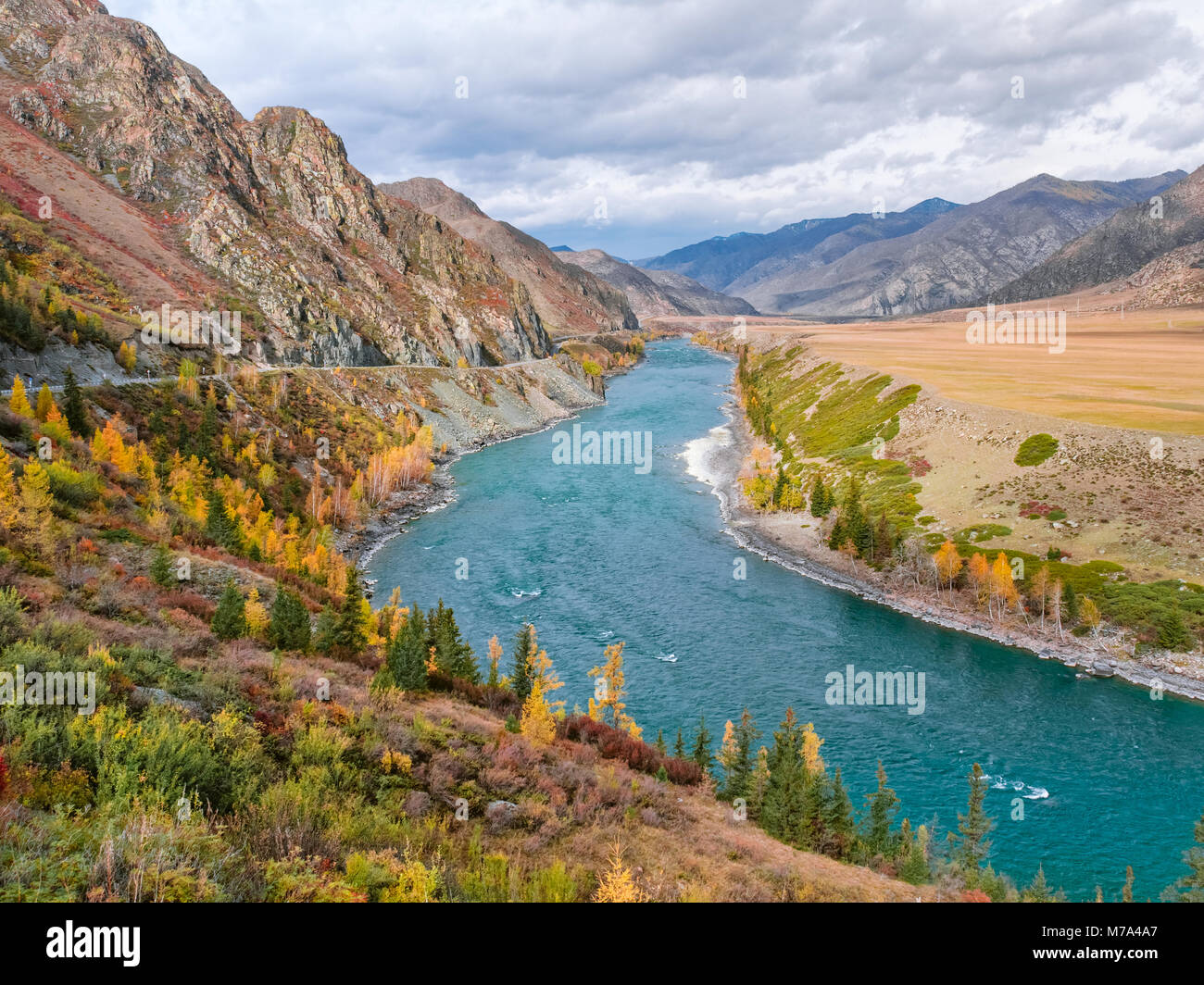 Altai siberia larch hi-res stock photography and images - Alamy