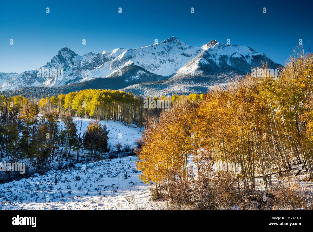 North Pole Peak and Hayden Peak in Sneffels Range, under snow, aspen grove in fall foliage, view at sunrise from Last Dollar Road, San Juan Mountains, Stock Photo