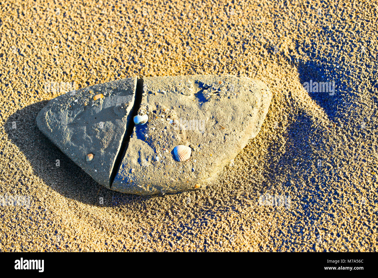 Stones on the beach. Stock Photo