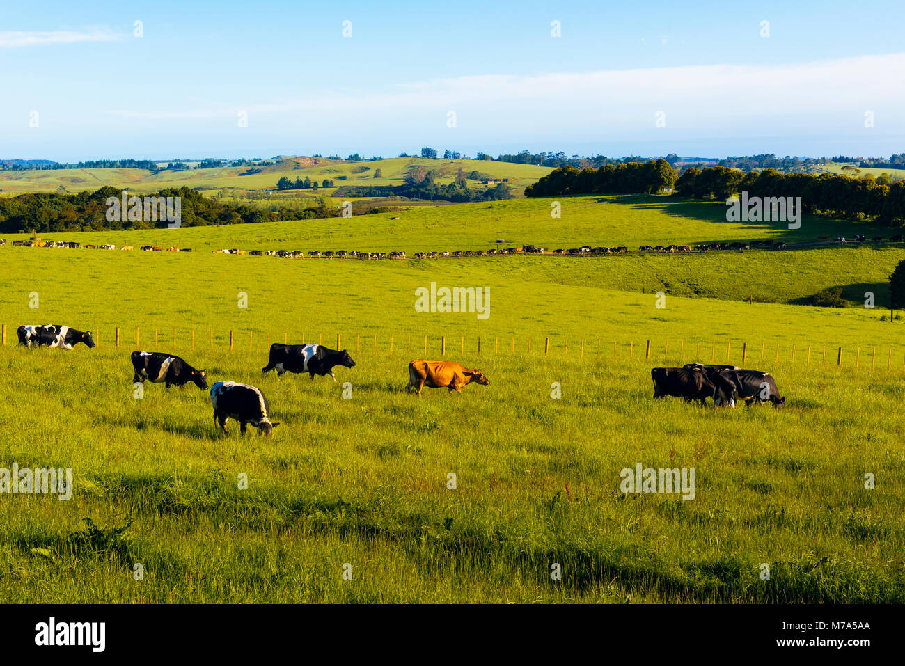 Islands on the horizon hires stock photography and images Alamy