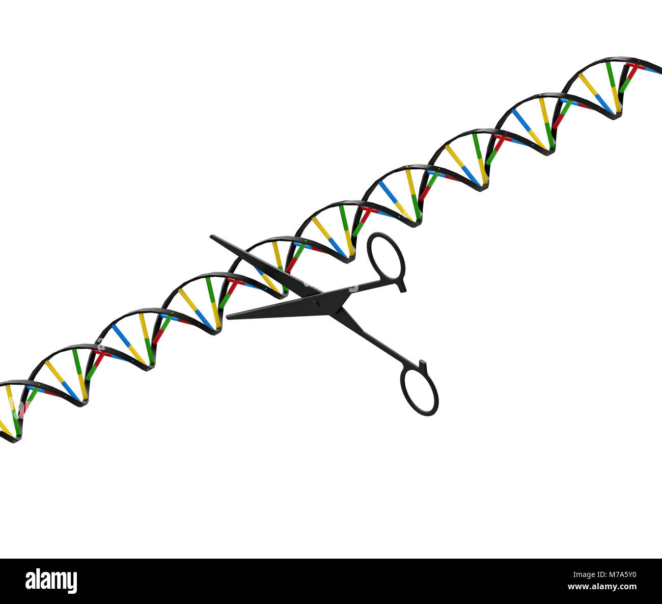 scissors hires stock photography and images Alamy