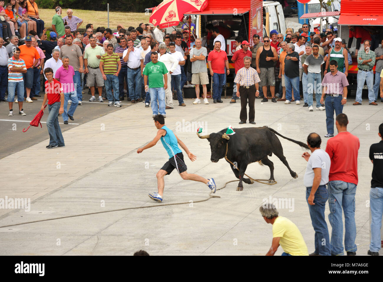 Bullfight (Tourada à Corda) in Porto Martins. Terceira island, Azores. Portugal Stock Photo