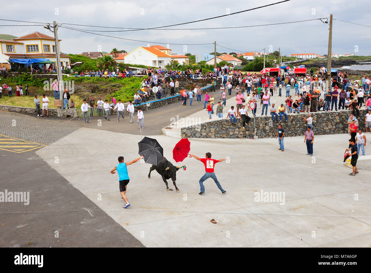 Bullfight (Tourada à Corda) in Porto Martins. Terceira island, Azores. Portugal Stock Photo