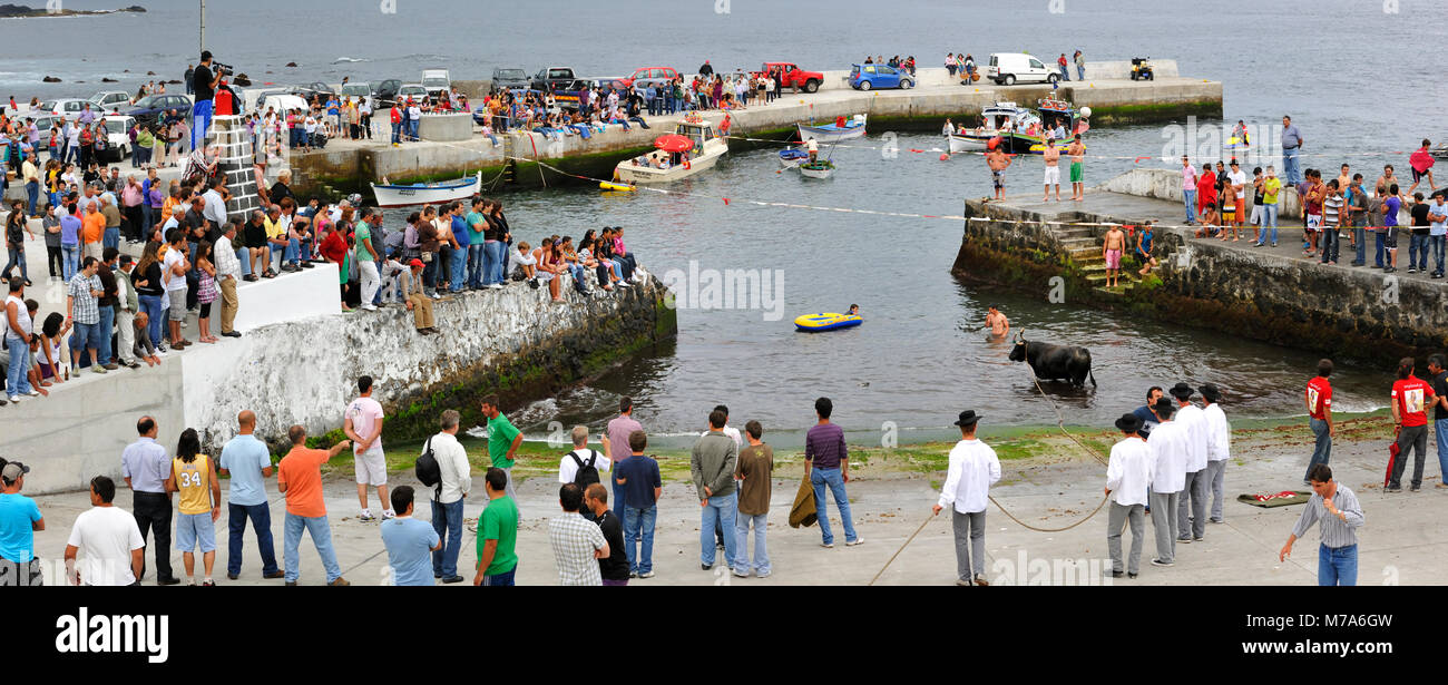 Bullfight (Tourada à Corda) in Porto Martins. Terceira island, Azores. Portugal Stock Photo