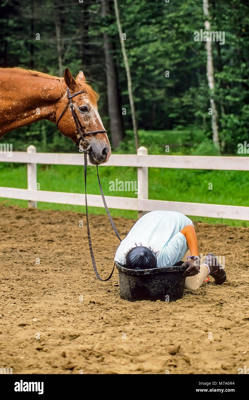 A thirsty teenage horseback rider drinks from the horse's water tub at a summer camp in Vermont, United States, North America. Stock Photo