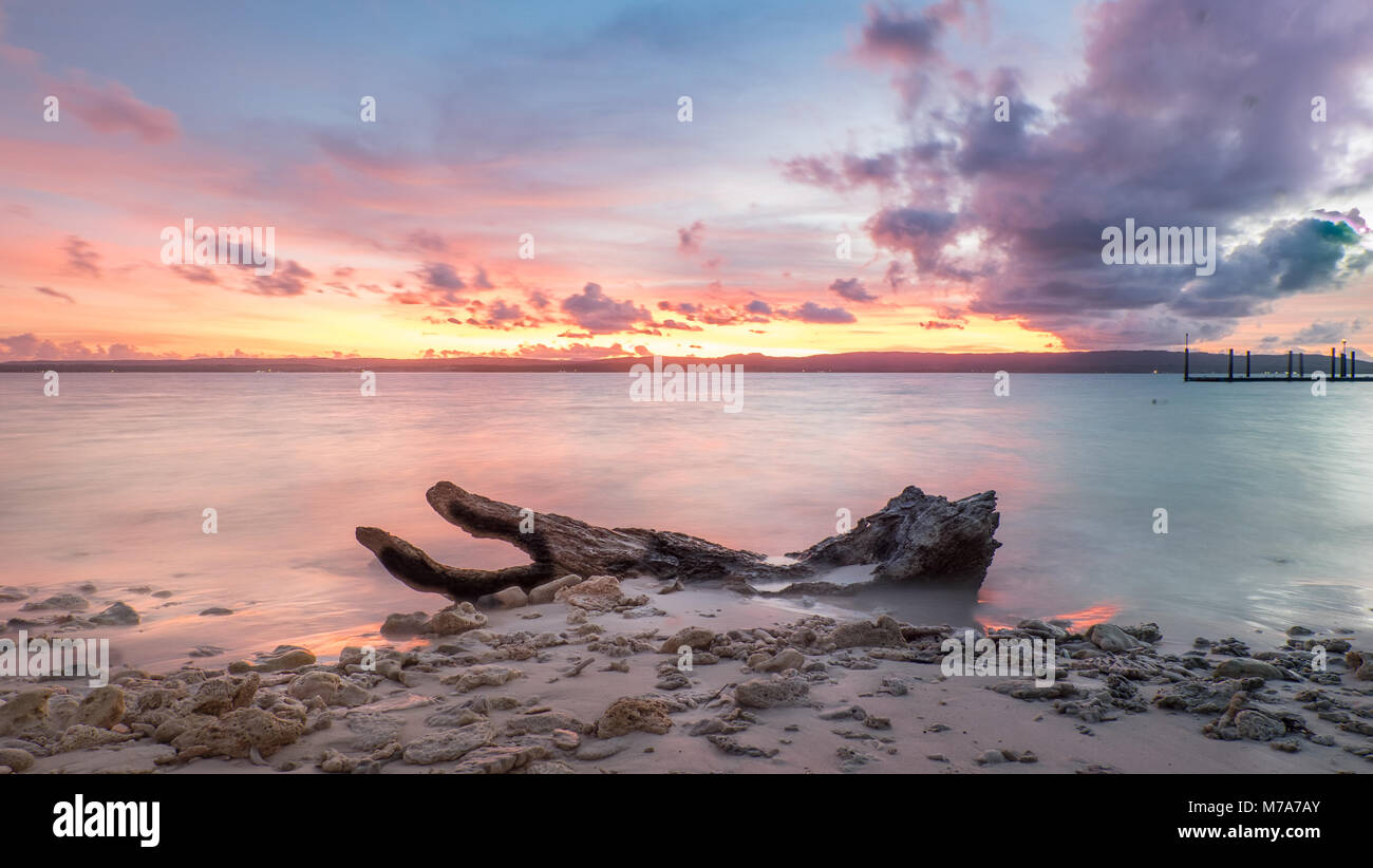 Another Fallen Tree Trunks With Beautiful Sky Stock Photo
