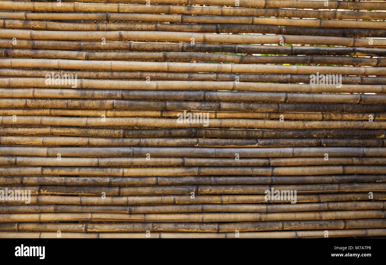 Old weathered bamboo texture, background, closeup view with details Stock Photo