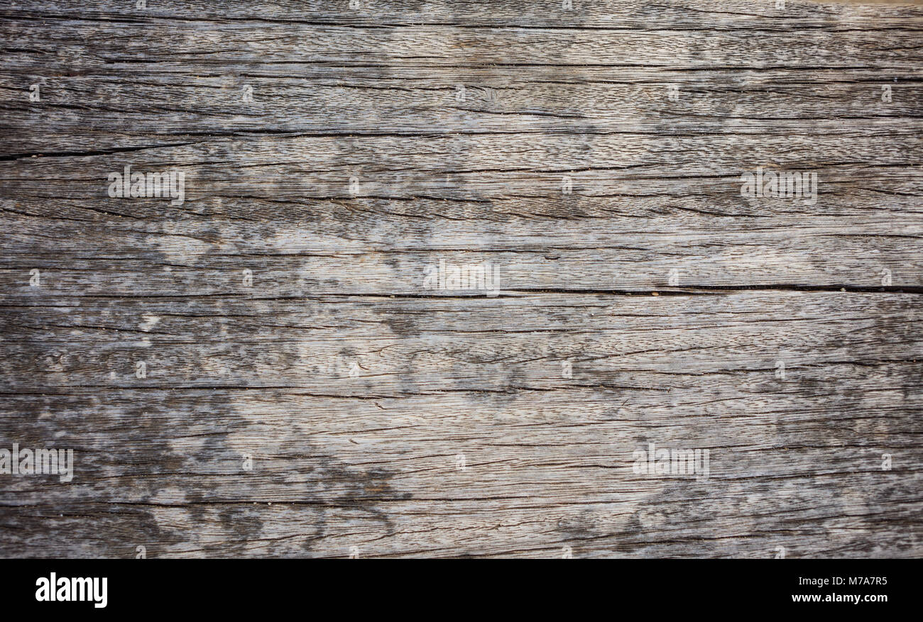 Old weathered wooden board texture, background with cracks Stock Photo