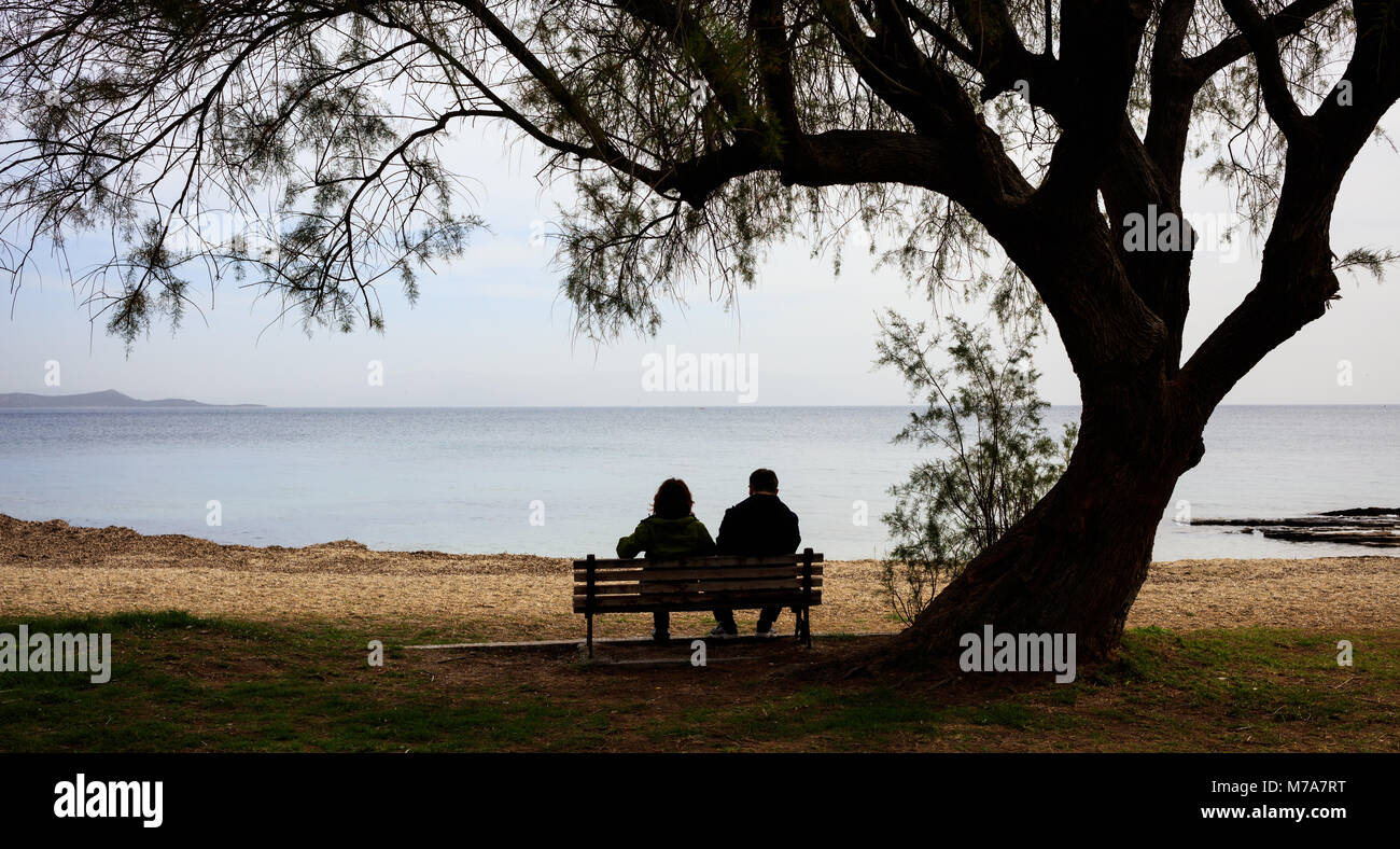 Couple sitting on a bench, looking at the sea, under a big tree Stock Photo