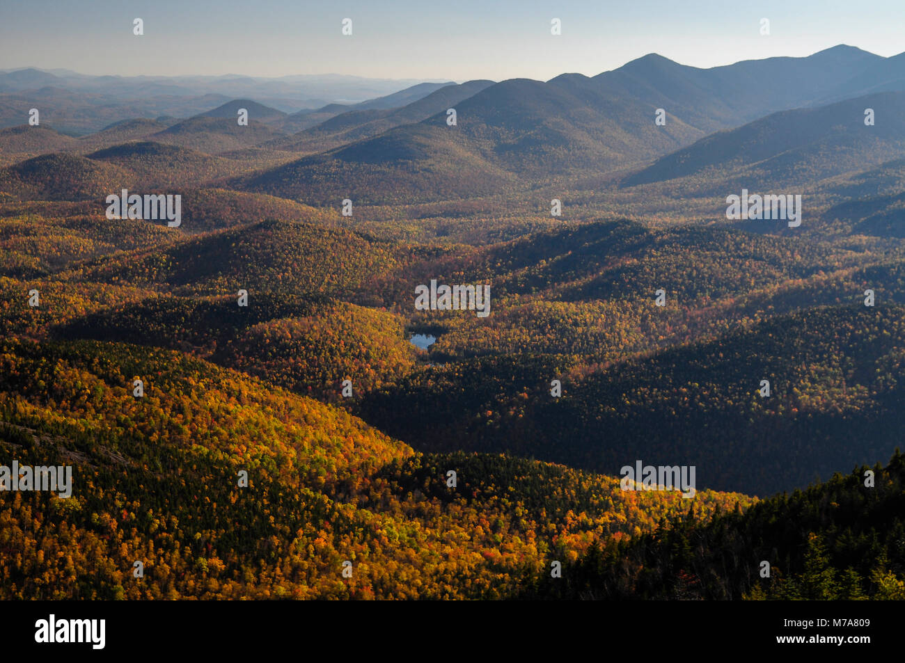 Giant Mt View,Adirondack Forest Preserve, New York Stock Photo Alamy