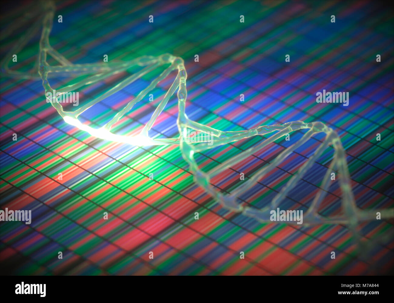 DNA (deoxyribonucleic acid) sequencing and DNA strand, illustration. Stock Photo