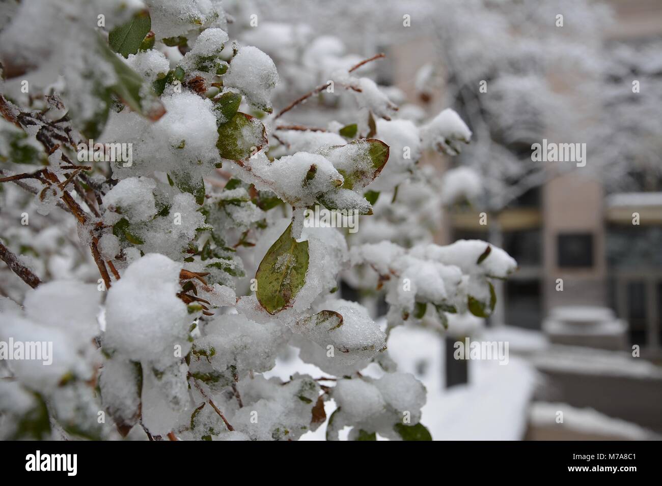 Brick homes and gas street lamps in Beacon Hill in downtown Boston after a Nor'Easter storm