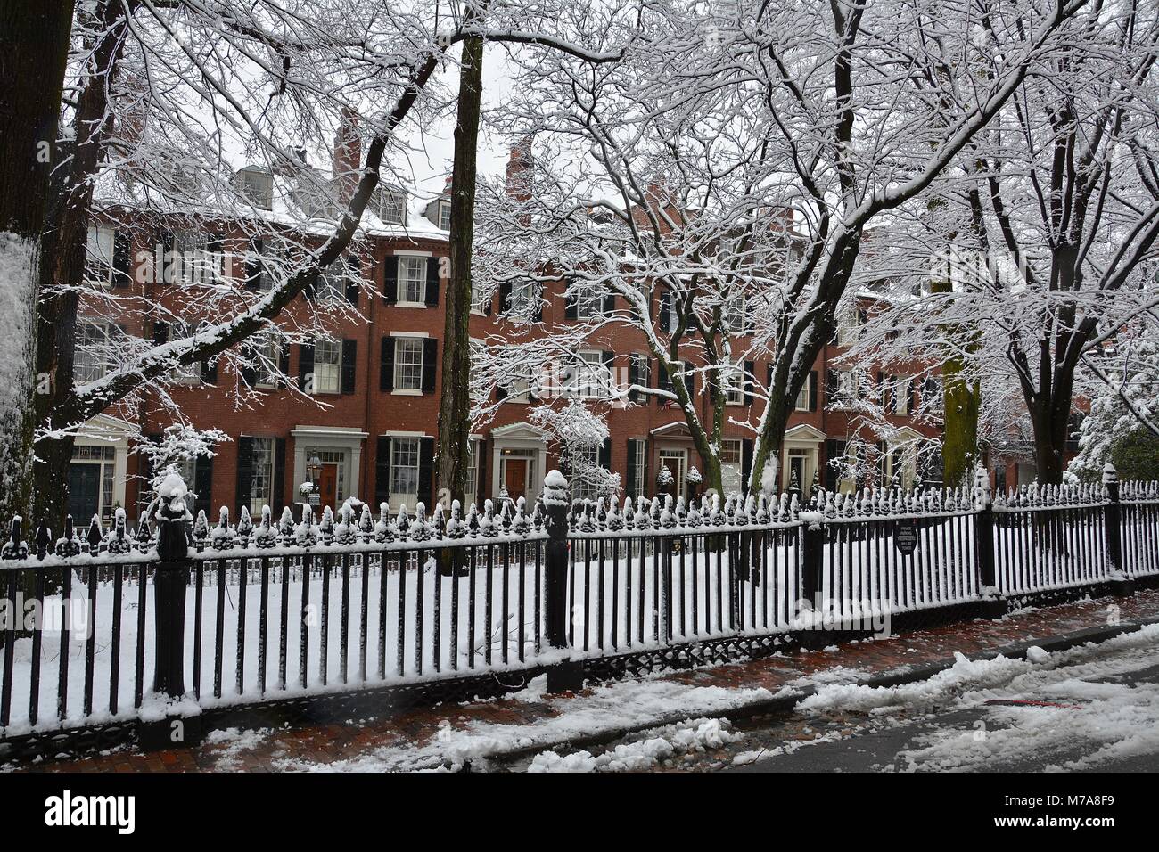 Homes and cast iron fencing along Louisburg Square on Beacon Hill in
