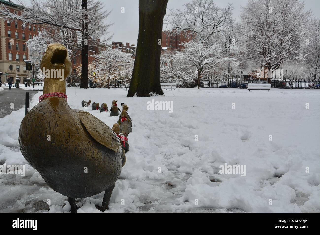 The Make Way For Ducklings statue in the Boston Public Garden after a