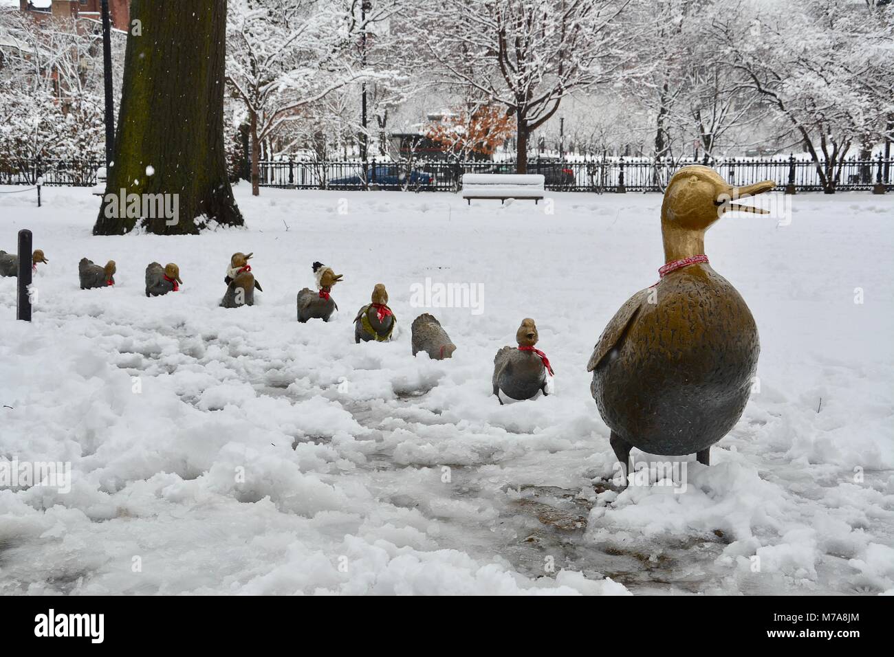 The Make Way For Ducklings statue in the Boston Public Garden after a