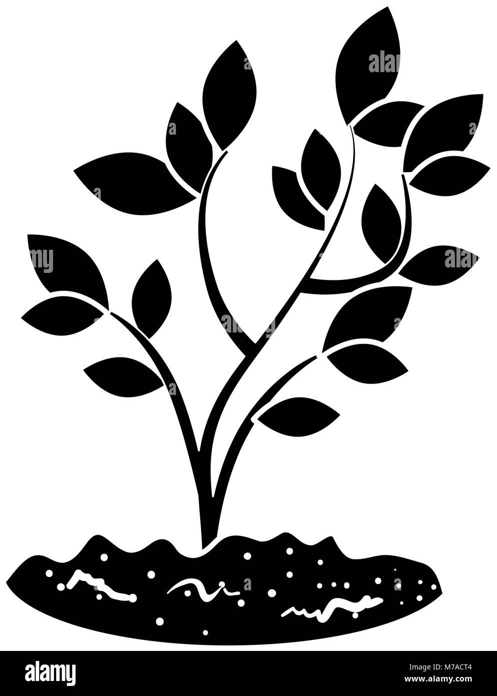 beautiful tree plant cultivated vector illustration design Stock Vector ...