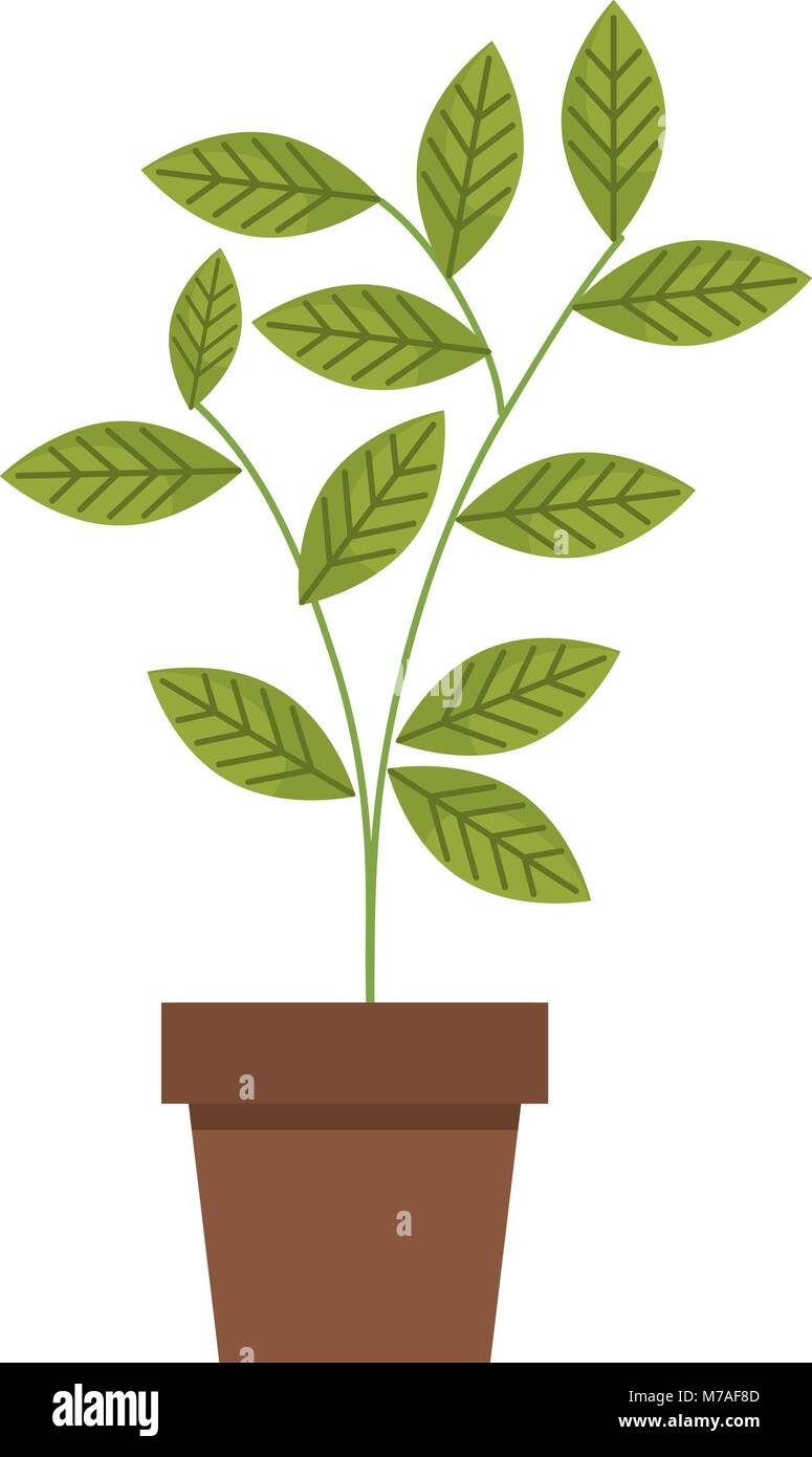house plant in pot Stock Vector Image & Art - Alamy